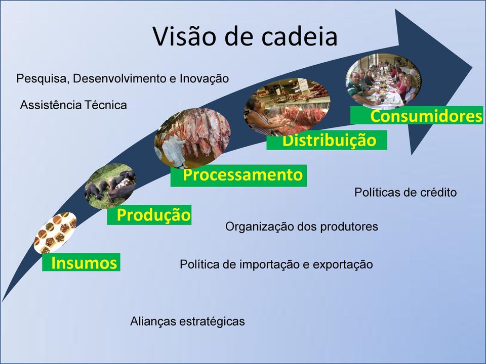 Processamento Organização dos produtores Políticas de