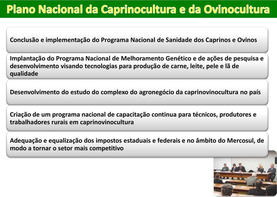 complexo do agronegócio da caprinovinocultura no país Criação de um programa nacional de capacitação continua para técnicos, produtores e