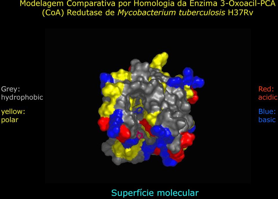 tuberculosis H37Rv Grey: hydrophobic yellow: