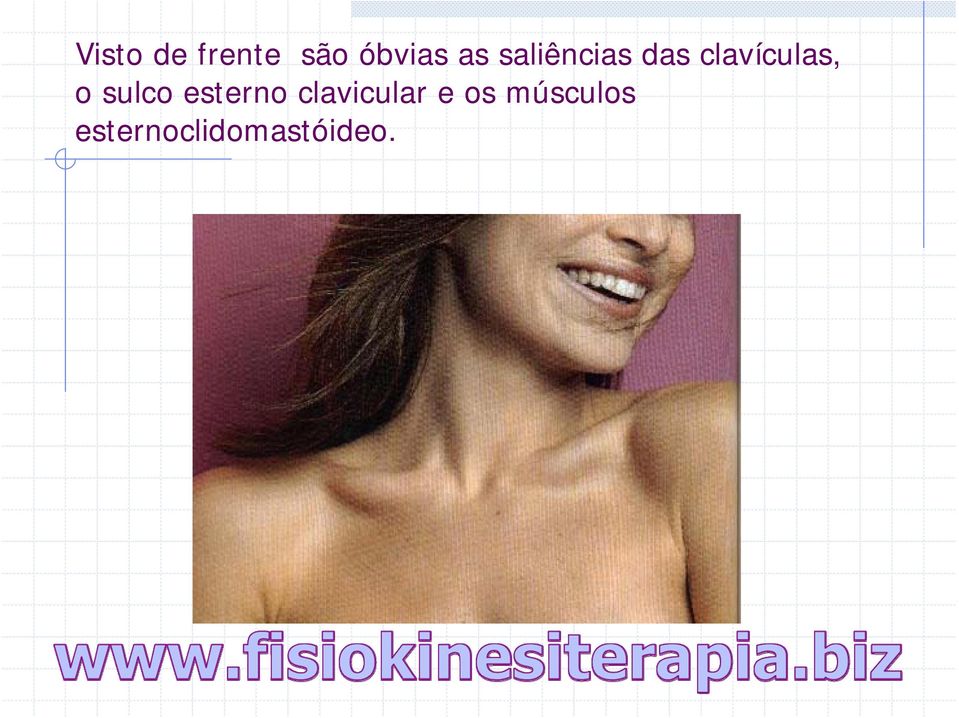 sulco esterno clavicular e os