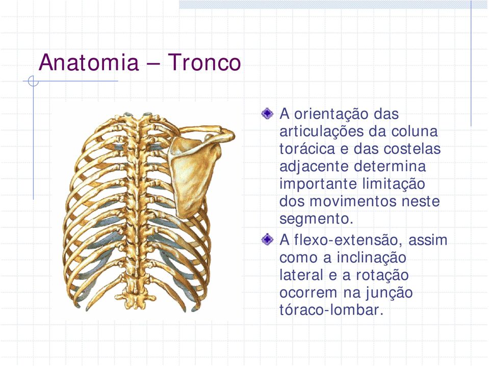 limitação dos movimentos neste segmento.