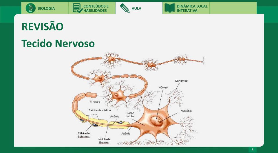 Nervoso 3