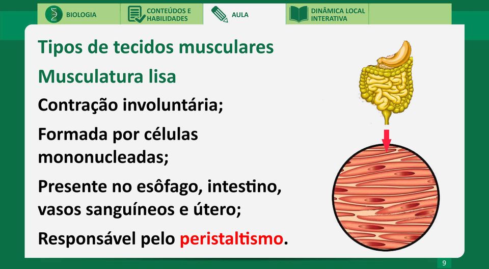 mononucleadas; Presente no esôfago, intestino,