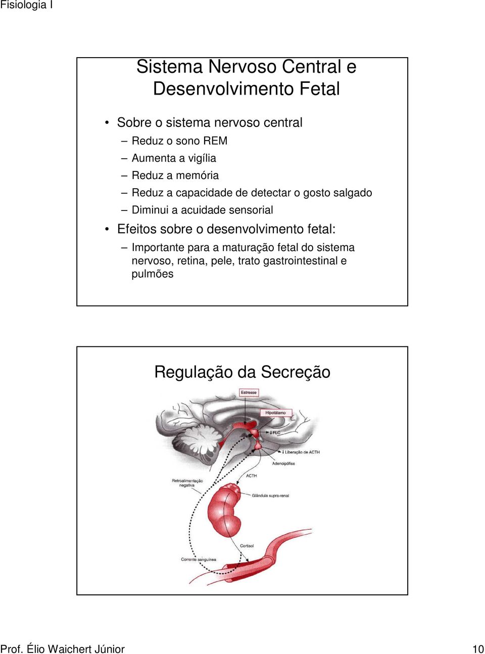 sensorial Efeitos sobre o desenvolvimento fetal: Importante para a maturação fetal do sistema