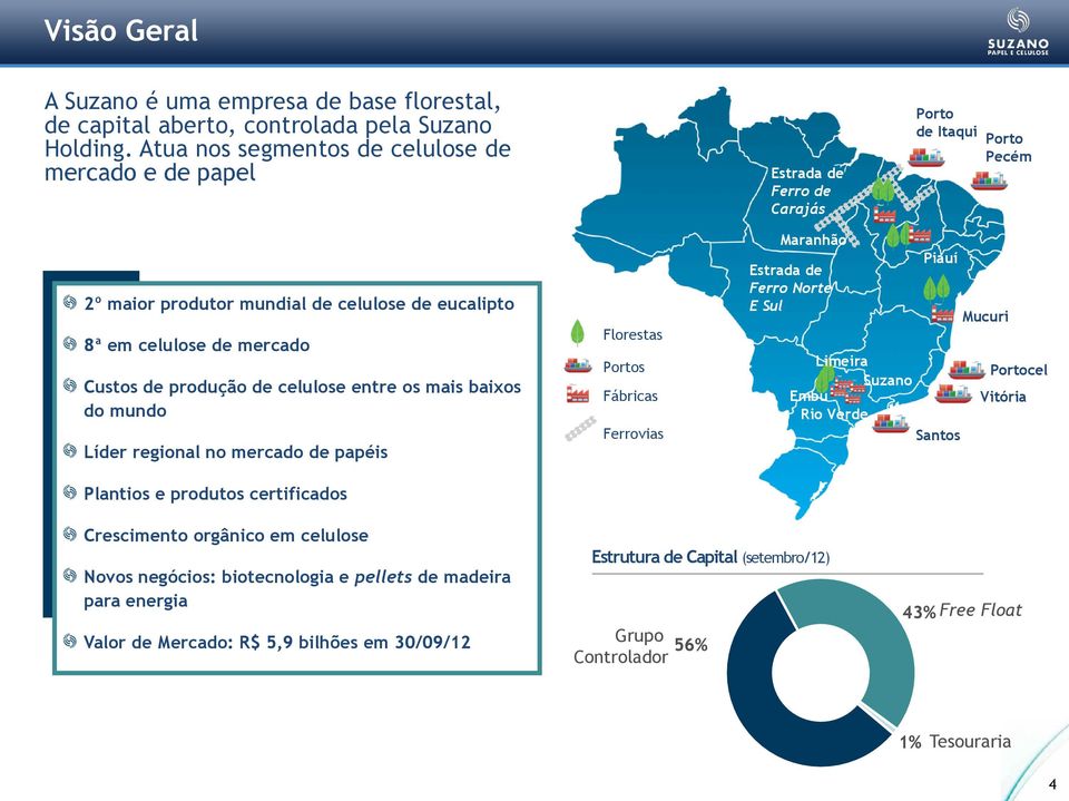 produção de celulose entre os mais baixos do mundo Líder regional no mercado de papéis Plantios e produtos certificados Florestas Portos Fábricas Ferrovias Maranhão Estrada de Ferro Norte E Sul
