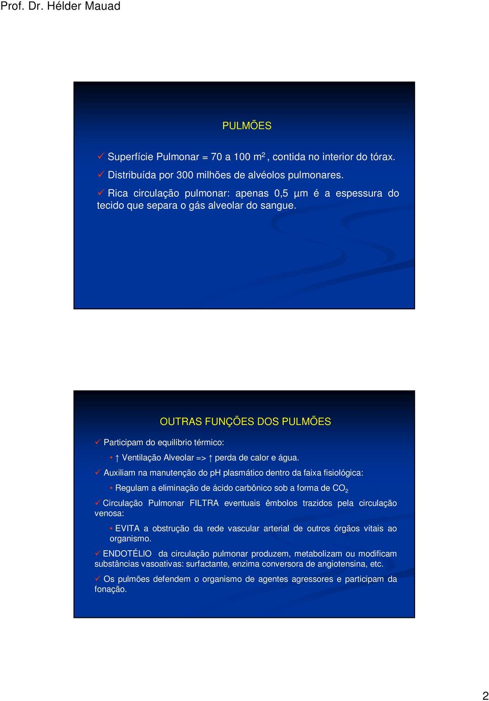 Participam do equilíbrio térmico: OUTRAS FUNÇÕES DOS PULMÕES Ventilação Alveolar => perda de calor e água.