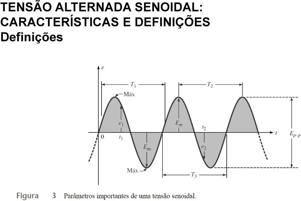 CARACTERÍSTICAS