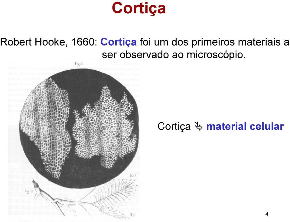 materiais a ser observado ao