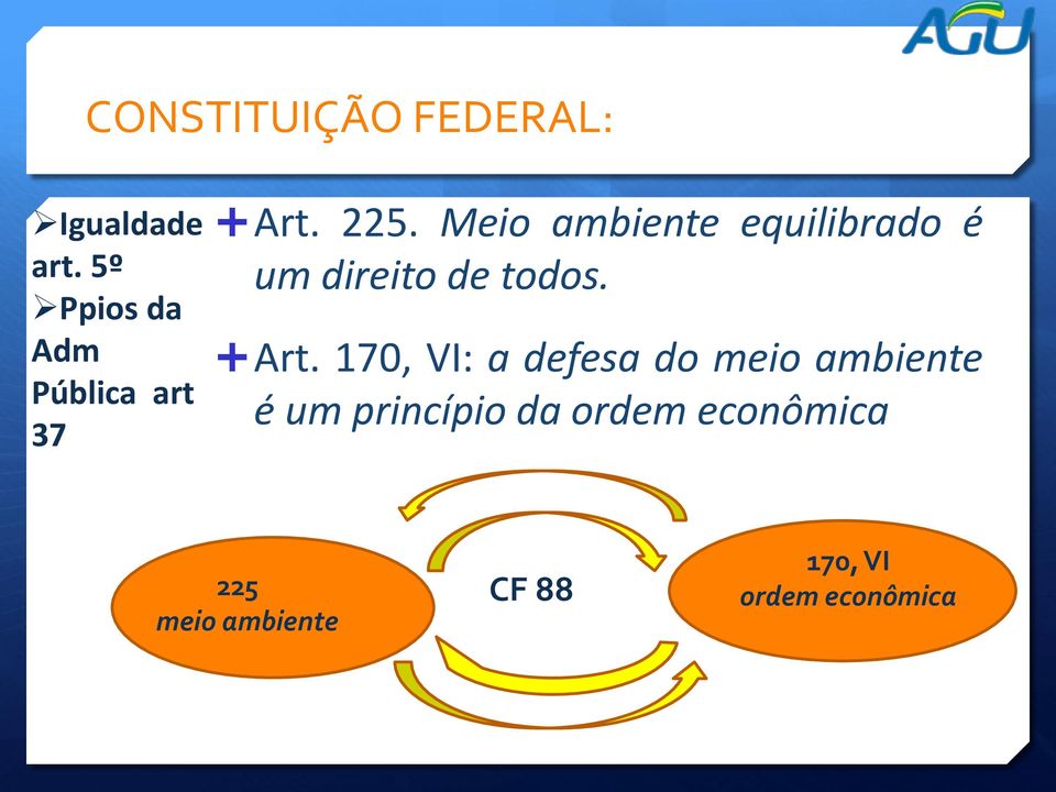 Meio ambiente equilibrado é um direito de todos. Art.