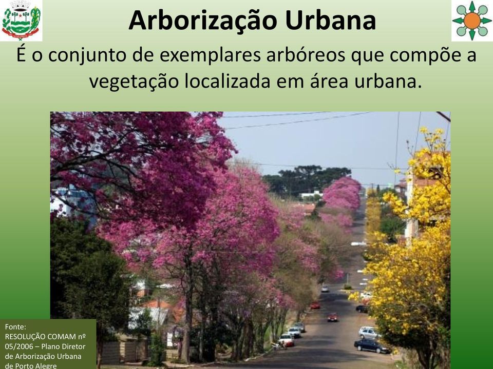 Arborização Urbana É o conjunto de exemplares