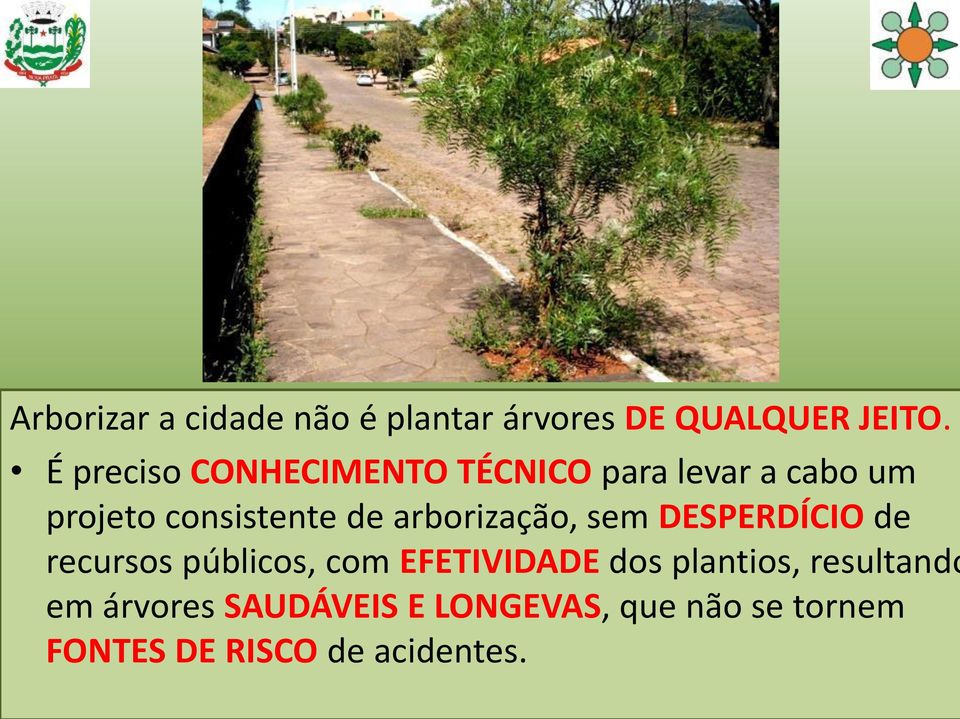 arborização, sem DESPERDÍCIO de recursos públicos, com EFETIVIDADE dos
