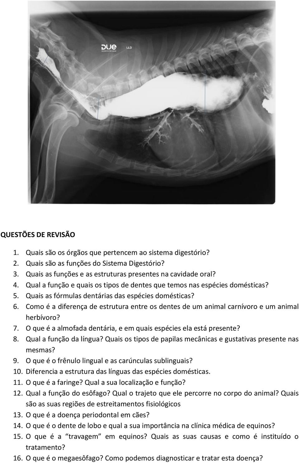 Como é a diferença de estrutura entre os dentes de um animal carnívoro e um animal herbívoro? 7. O que é a almofada dentária, e em quais espécies ela está presente? 8. Qual a função da língua?