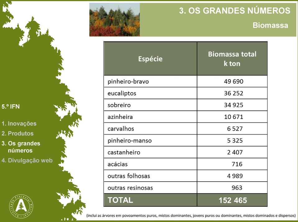 dominantes, jovens puros ou