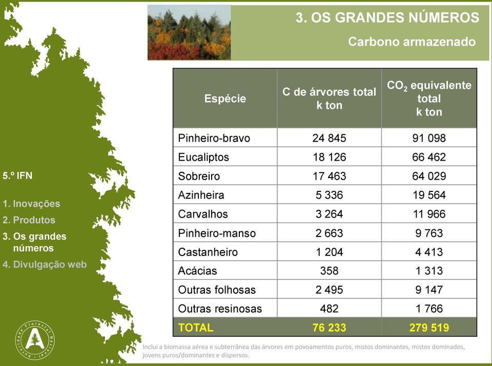 204 4 413 Acácias 358 1 313 Outras folhosas 2 495 9 147 Outras resinosas 482 1 766 TOTAL 76 233 279 519 Inclui a biomassa