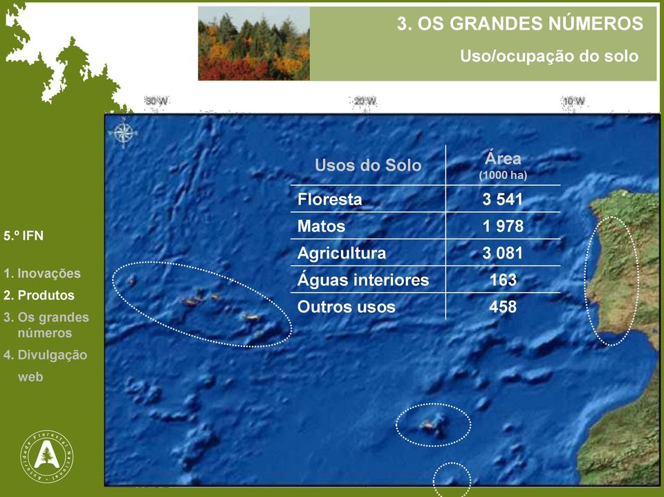 (1000 ha) Floresta 3 541 Matos 1 978