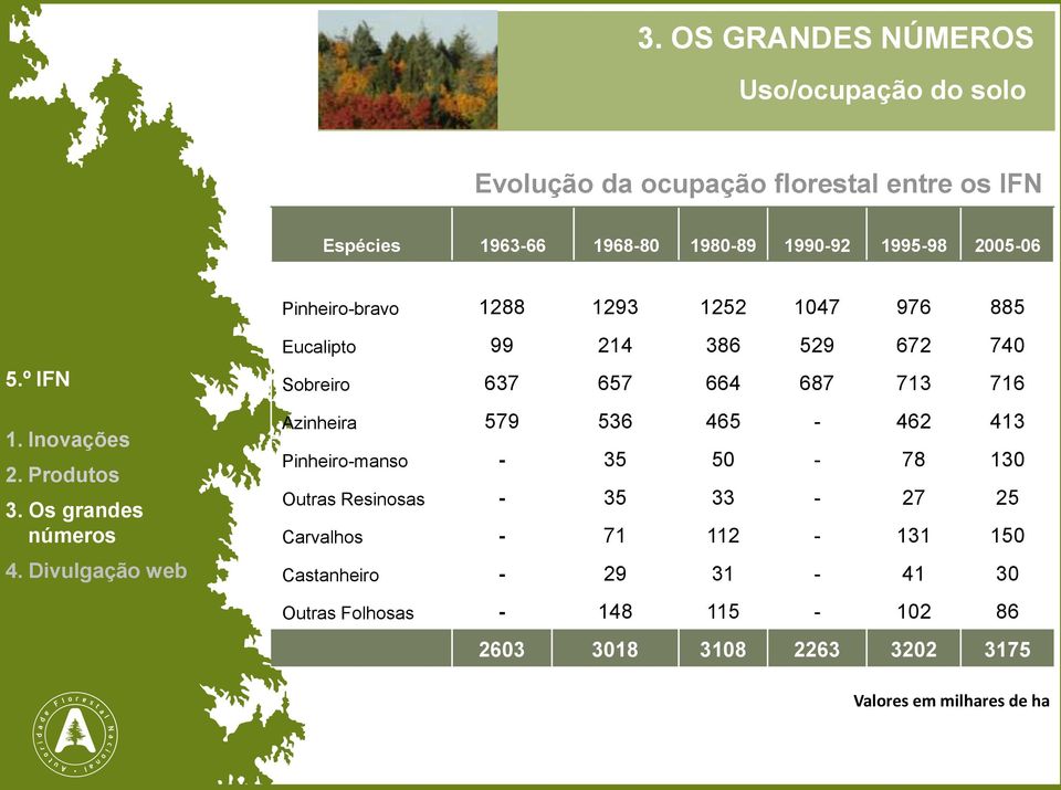 716 Azinheira 579 536 465-462 413 Pinheiro-manso - 35 50-78 130 Outras Resinosas - 35 33-27 25 Carvalhos - 71