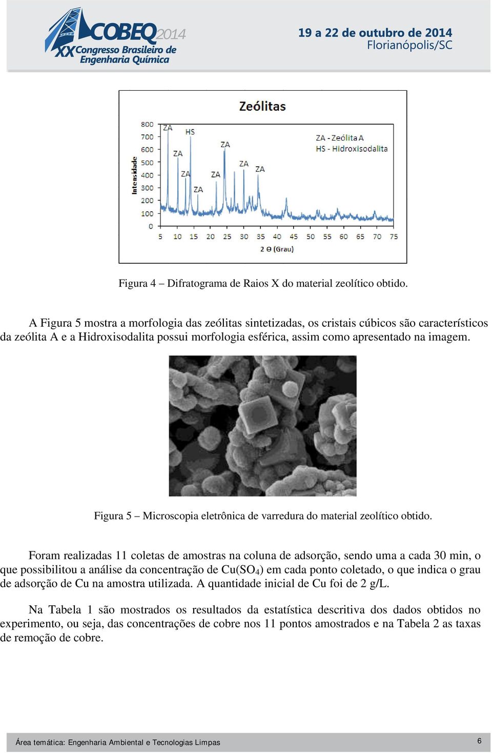 Figura 5 Microscopia eletrônica de varredura do material zeolítico obtido.