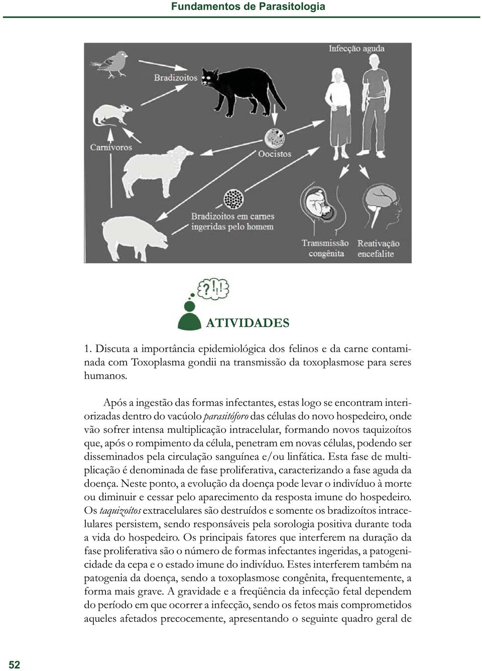 formando novos taquizoítos que, após o rompimento da célula, penetram em novas células, podendo ser disseminados pela circulação sanguínea e/ou linfática.