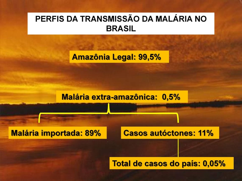extra-amazônica: 0,5% Malária importada: