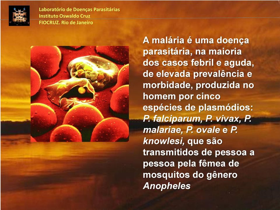 elevada prevalência e morbidade, produzida no homem por cinco espécies de plasmódios: P.