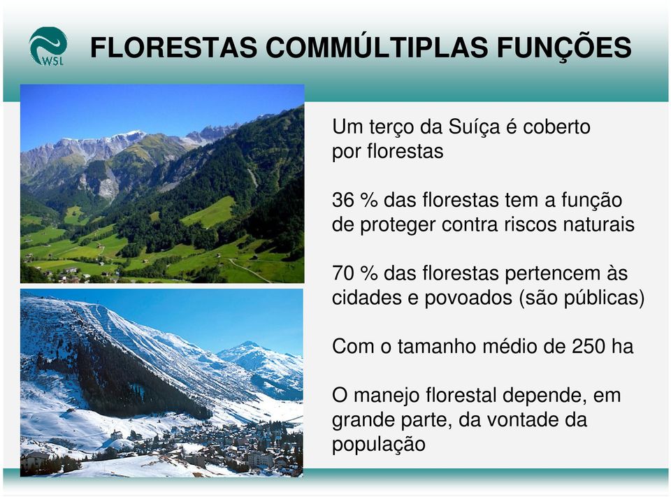 florestas pertencem às cidades e povoados (são públicas) Com o tamanho