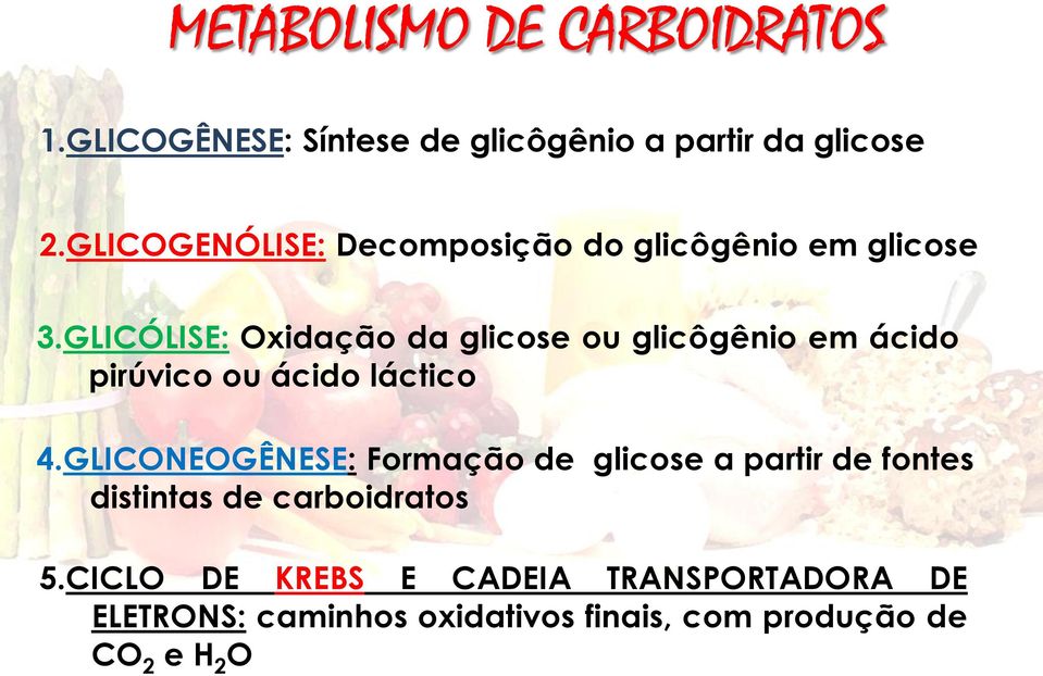 GLICÓLISE: Oxidação da glicose ou glicôgênio em ácido pirúvico ou ácido láctico 4.