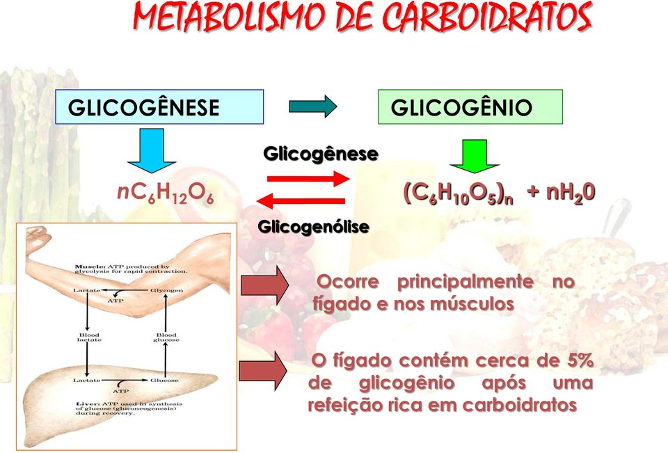 Glicogenólise Ocorre principalmente no fígado e nos músculos