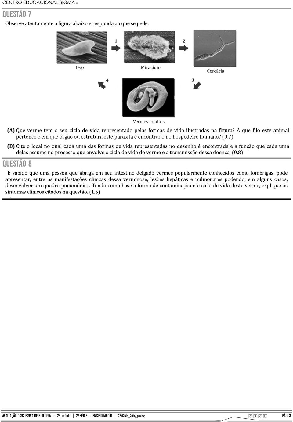 (0,7) Cite o local no qual cada uma das formas de vida representadas no desenho é encontrada e a função que cada uma delas assume no processo que envolve o ciclo de vida do verme e a transmissão