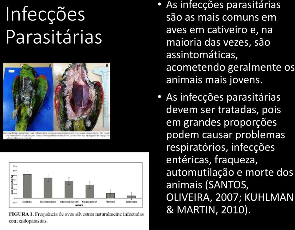 As infecções parasitárias devem ser tratadas, pois em grandes proporções podem causar problemas