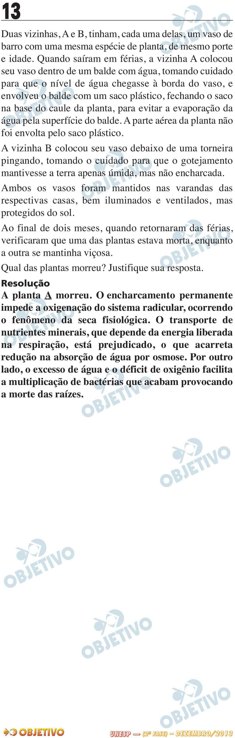 o saco na base do caule da planta, para evitar a evaporação da água pela superfície do balde. A parte aérea da planta não foi envolta pelo saco plástico.