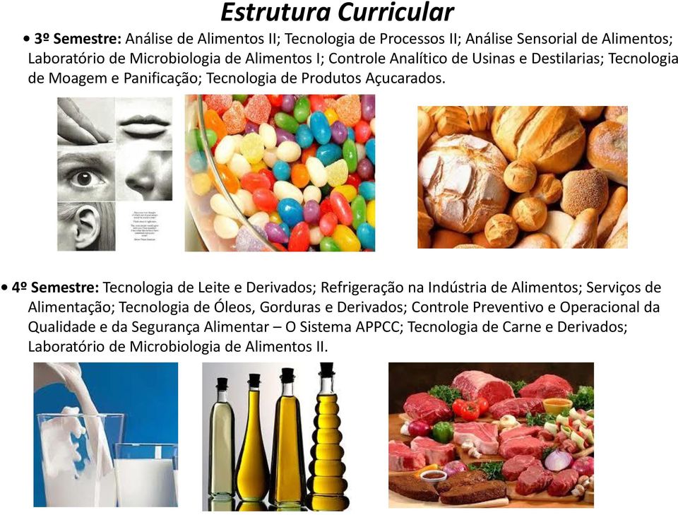 4º Semestre: Tecnologia de Leite e Derivados; Refrigeração na Indústria de Alimentos; Serviços de Alimentação; Tecnologia de Óleos, Gorduras e