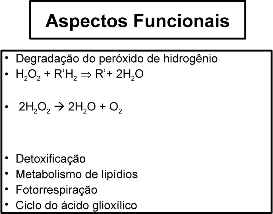 2H 2 O + O 2 Detoxificação Metabolismo de