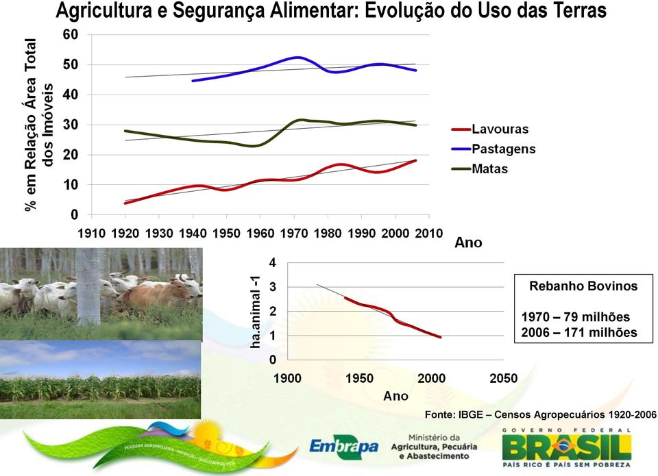 Bovinos 1970 79 milhões 2006 171