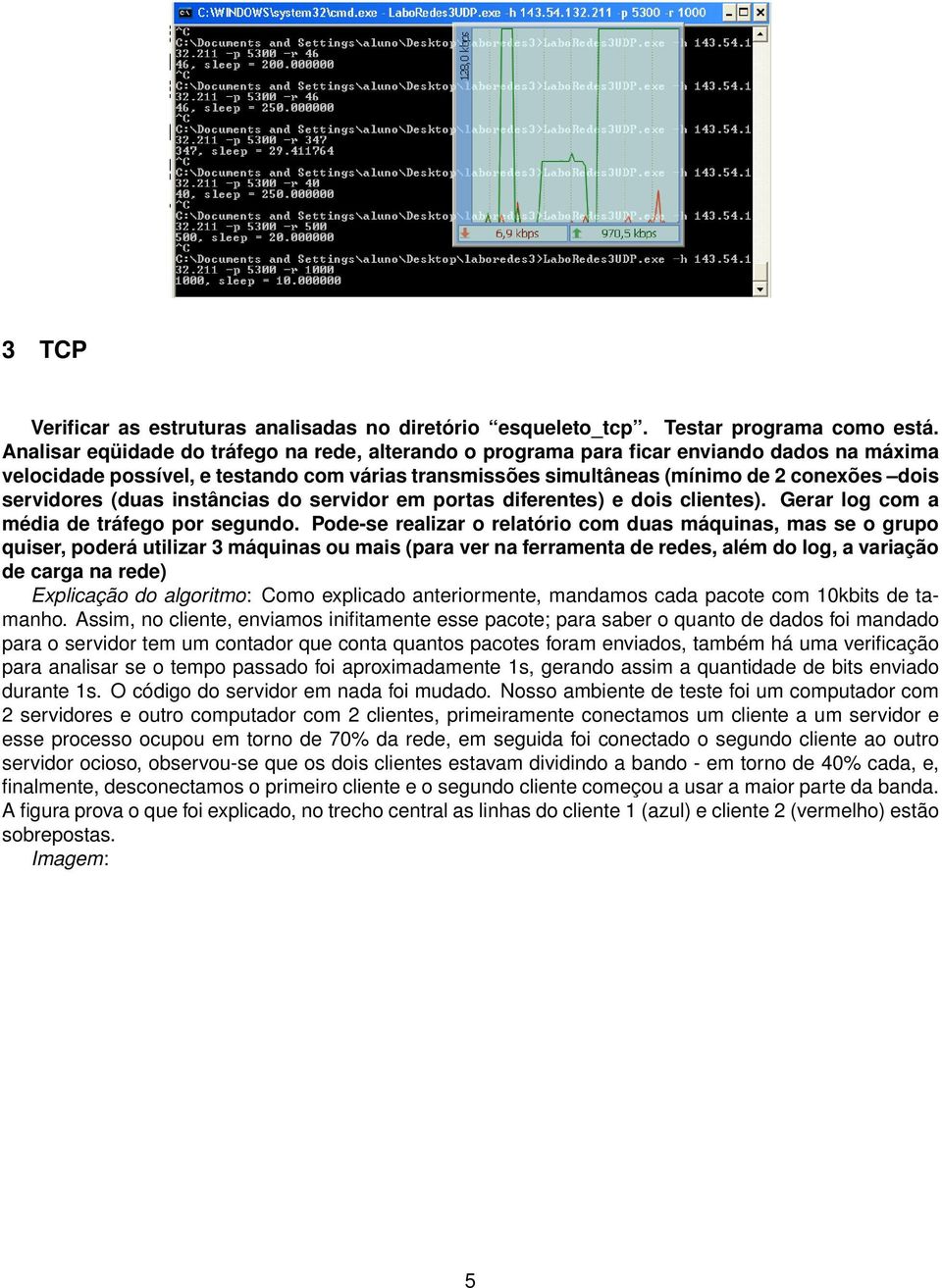 servidores (duas instâncias do servidor em portas diferentes) e dois clientes). Gerar log com a média de tráfego por segundo.