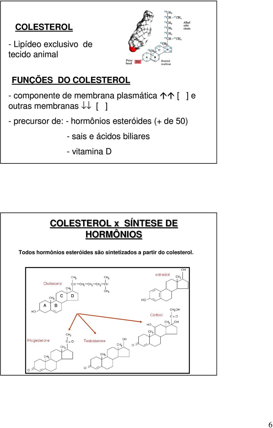 hormônios esteróides (+ de 50) - sais e ácidos biliares - vitamina D COLESTEROL x