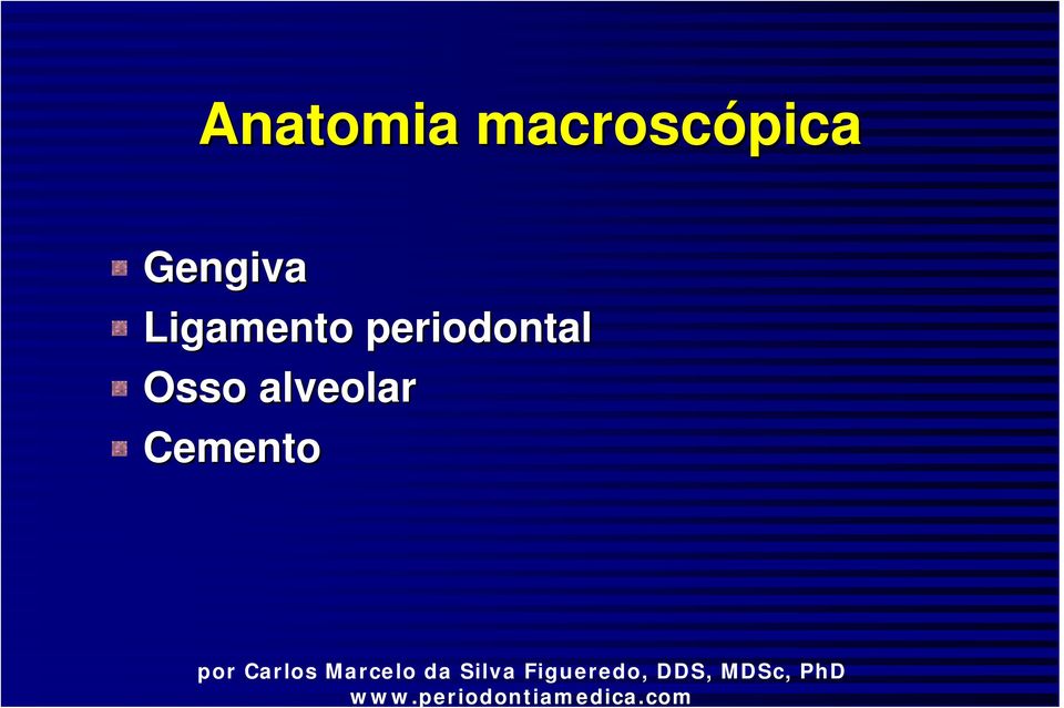 Gengiva Ligamento