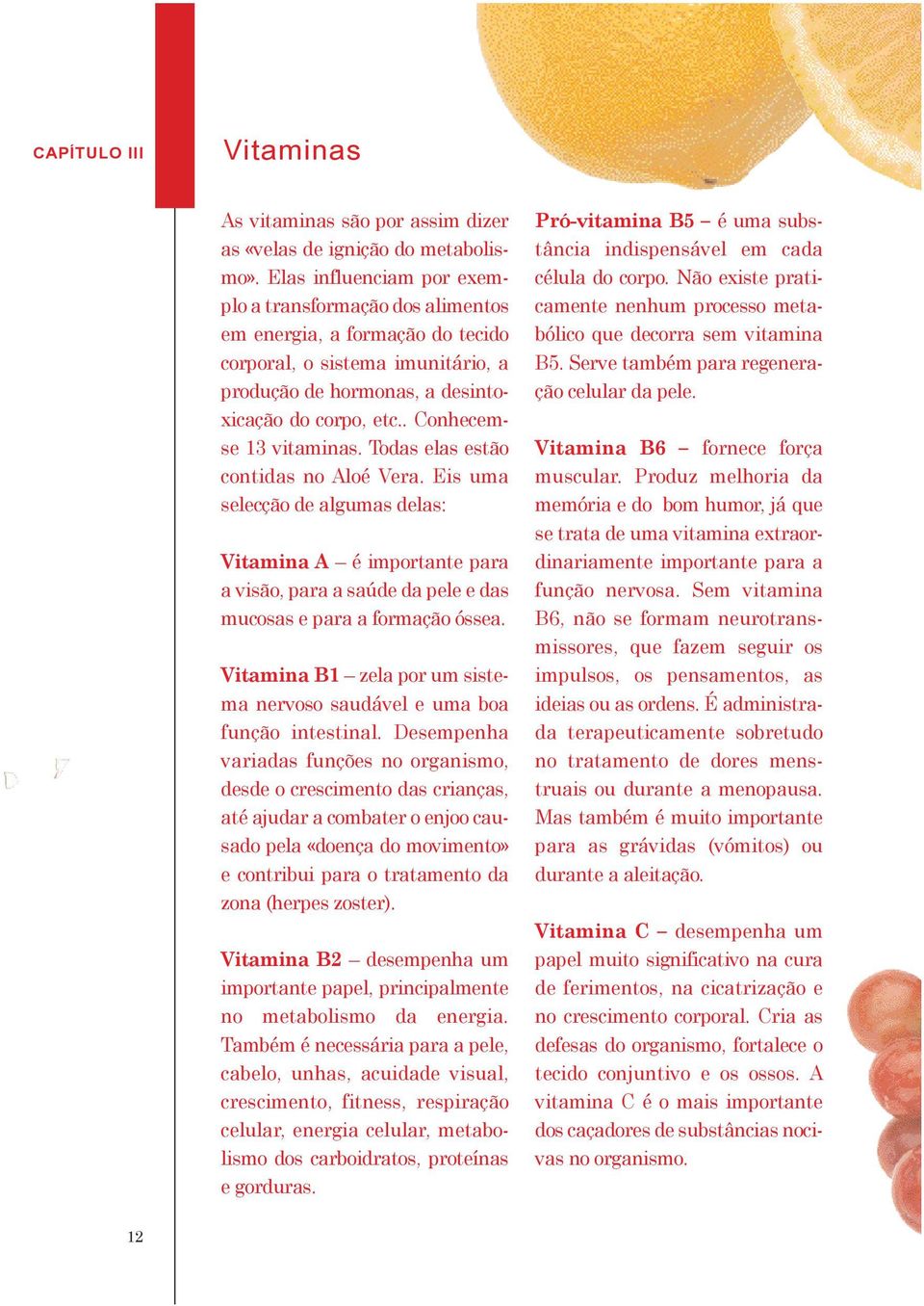 . Conhecemse 13 vitaminas. Todas elas estão contidas no Aloé Vera. Eis uma selecção de algumas delas: Vitamina A é importante para a visão, para a saúde da pele e das mucosas e para a formação óssea.