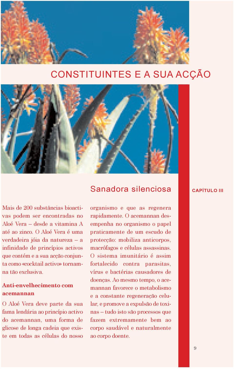 Anti-envelhecimento com acemannan O Aloé Vera deve parte da sua fama lendária ao princípio activo do acemannan, uma forma de glicose de longa cadeia que existe em todas as células do nosso organismo