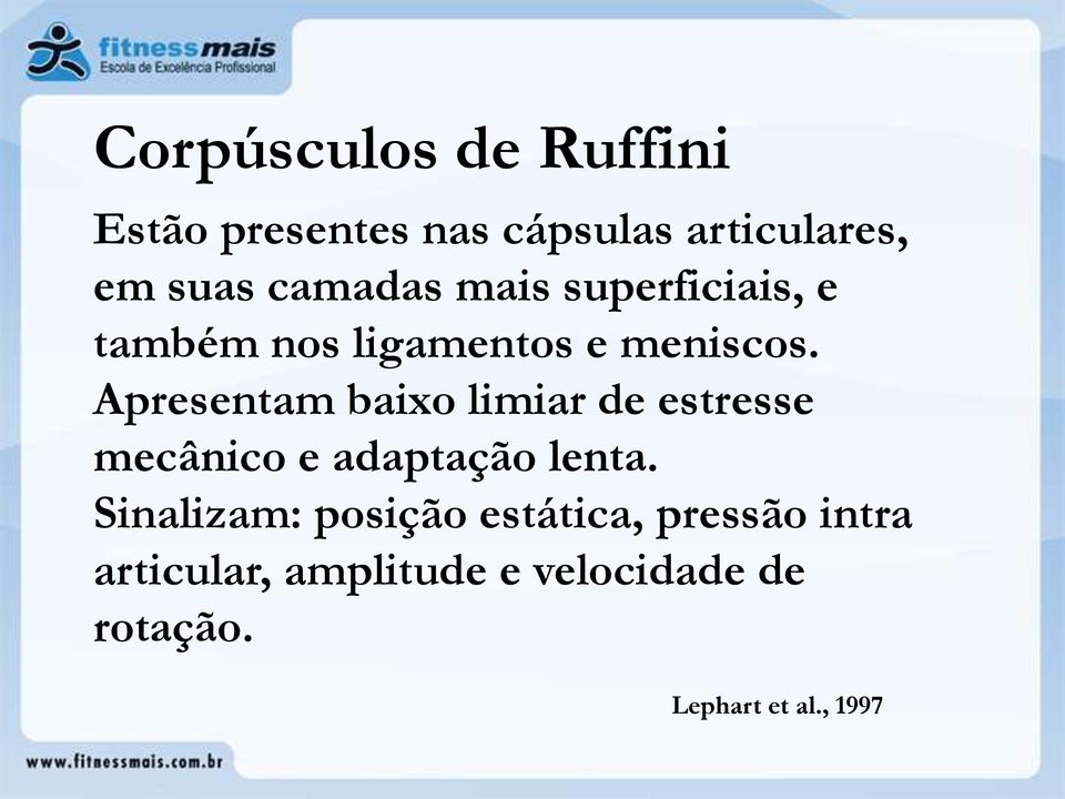 Apresentam baixo limiar de estresse mecânico e adaptação lenta.