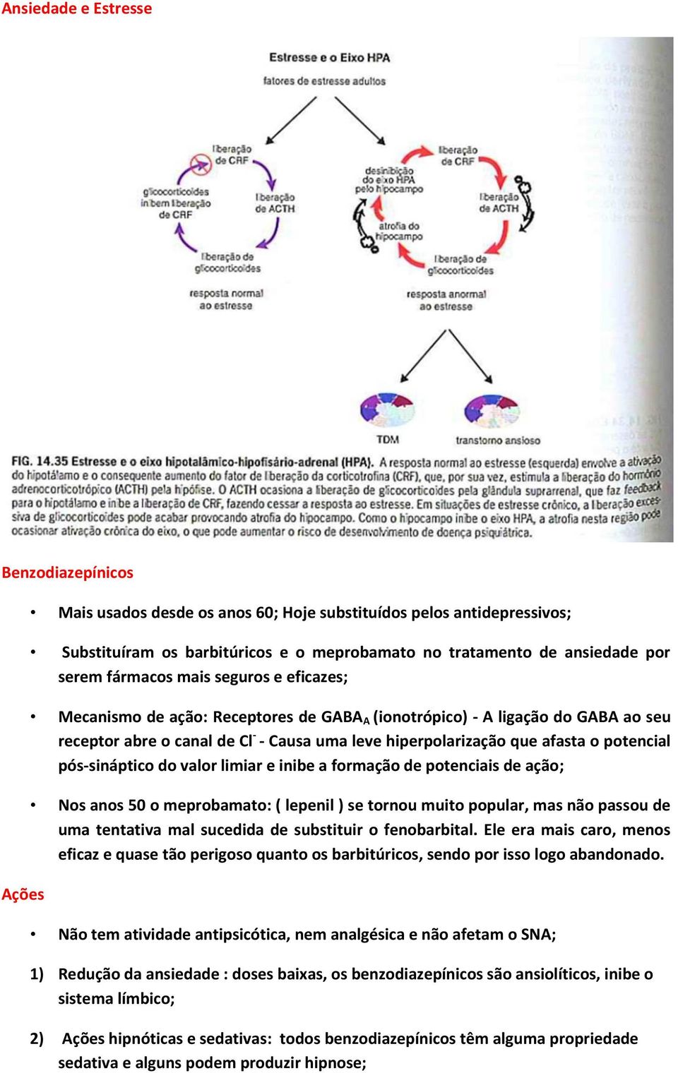 potencial pós-sináptico do valor limiar e inibe a formação de potenciais de ação; Nos anos 50 o meprobamato: ( lepenil ) se tornou muito popular, mas não passou de uma tentativa mal sucedida de