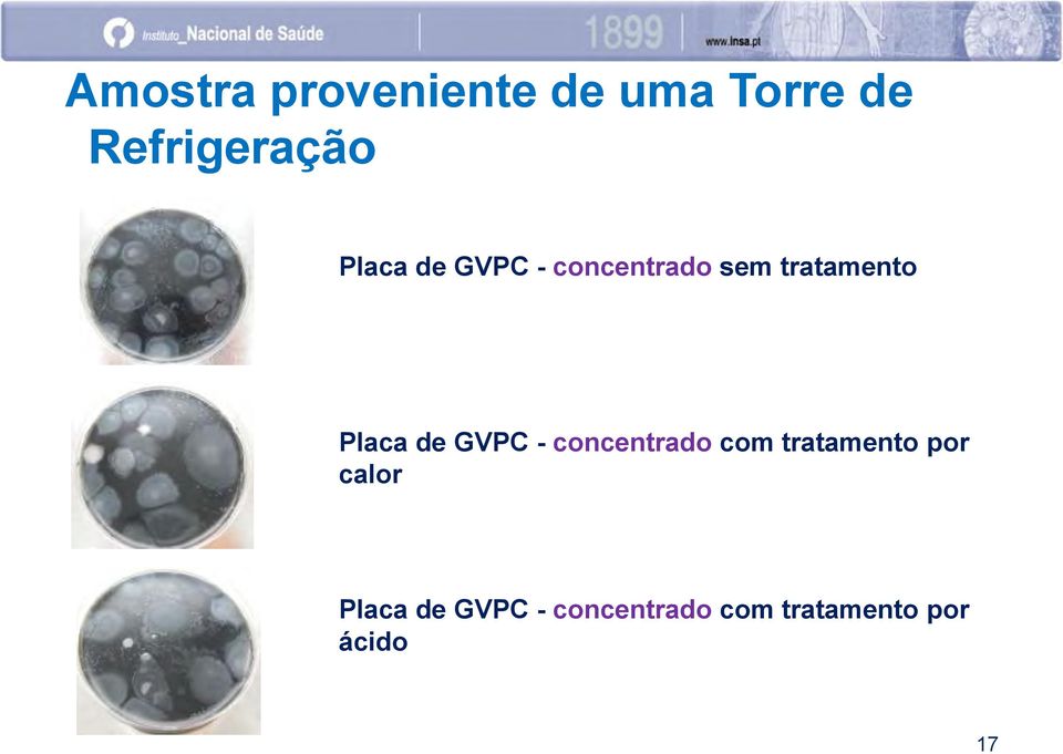 de GVPC - concentrado com tratamento por calor