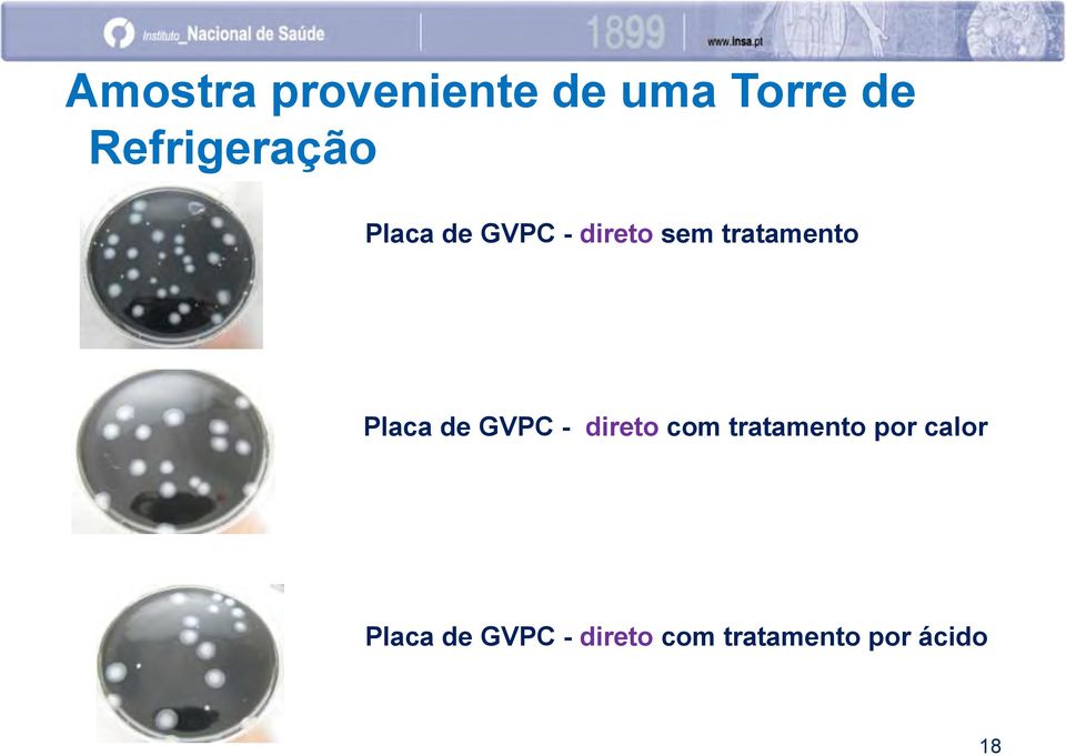 tratamento Placa de GVPC - direto com