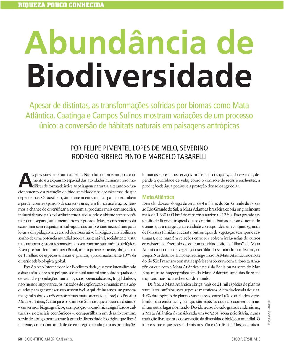 .. Num futuro próximo, o crescimento e a expansão espacial das atividades humanas irão modificar de forma drástica as paisagens naturais, alterando o funcionamento e a retenção de biodiversidade nos