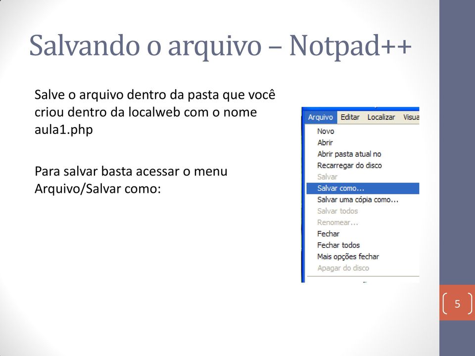 dentro da localweb com o nome aula1.