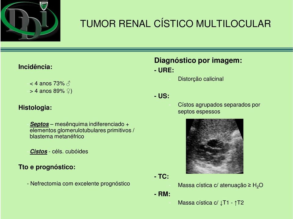 indiferenciado + elementos glomerulotubulares primitivos / blastema metanéfrico - Cistos - céls.