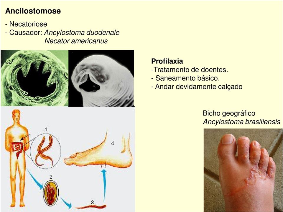 de doentes. - Saneamento básico.