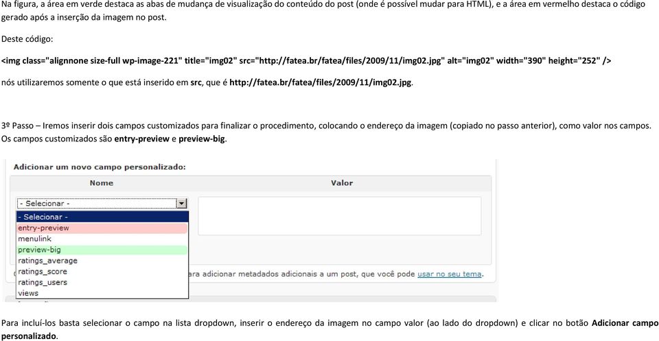 jpg" alt="img02" width="390" height="252" /> nós utilizaremos somente o que está inserido em src, que é http://fatea.br/fatea/files/2009/11/img02.jpg. 3º Passo Iremos inserir dois campos customizados para finalizar o procedimento, colocando o endereço da imagem (copiado no passo anterior), como valor nos campos.