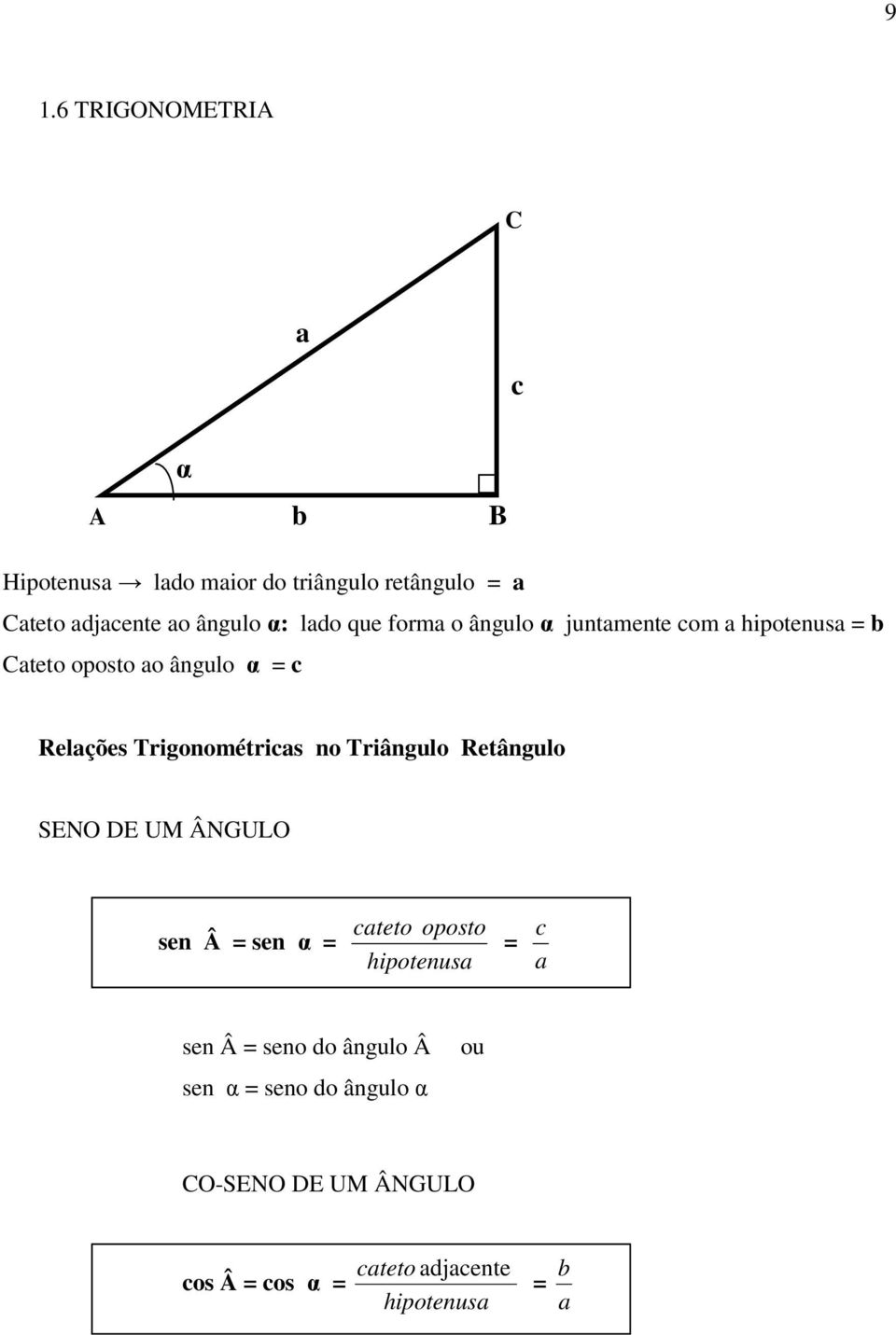 Tigonométicas no Tiângulo Retângulo SENO DE UM ÂNGULO sen Â = sen α = cateto oposto hipotenusa = a c sen Â