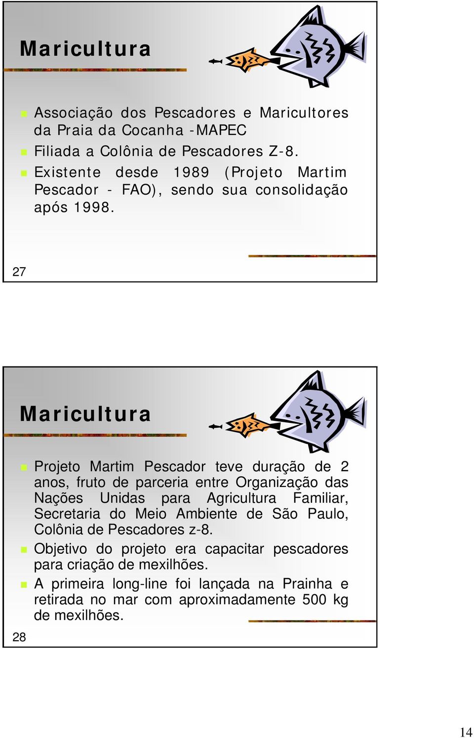 27 Maricultura Projeto Martim Pescador teve duração de 2 anos, fruto de parceria entre Organização das Nações Unidas para Agricultura Familiar,