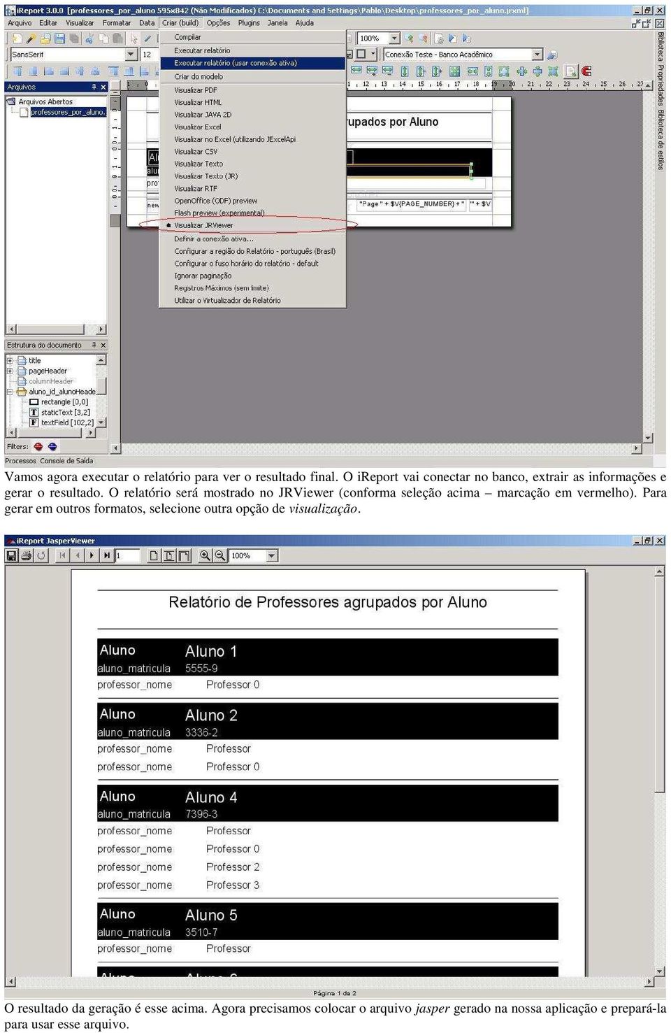 O relatório será mostrado no JRViewer (conforma seleção acima marcação em vermelho).